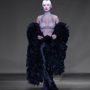 Beautiful Elegant Event/Red Carpet Sheer Top Dresss